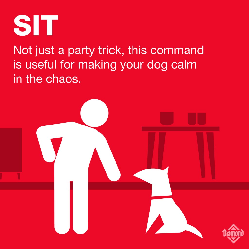 Sit: Not just a party trick, this command is useful for making your dog calm in the chaos | a graphic of a person commanding their dog to sit, and a dog sitting | Diamond Pet Food