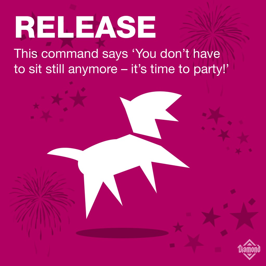 Release: This command says 'You don't have to sit still anymore – it's time to party!" | A graphic of a joyous dog jumping. | Diamond Pet Food