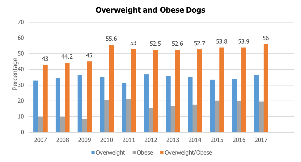 Overweight & Obese Dogs Chart